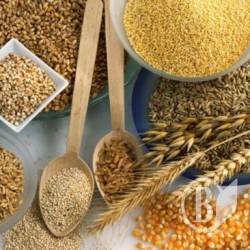 Зернові запаси Чернігівщини на 1 жовтня 2018-го: кукурудзи наїстися вистачить усім Зернові запаси Чернігівщини на 1 жовтня 2018-го: кукурудзи наїстися вистачить усім
