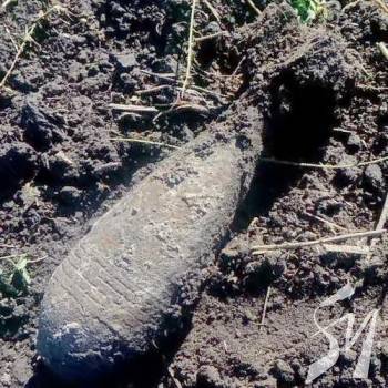 У лісосмузі завалялась міна з минулої війни У лісосмузі завалялась міна з минулої війни
