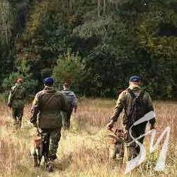 Рятувальники відшукали у лісі 81-річну бабусю Рятувальники відшукали у лісі 81-річну бабусю