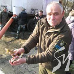 В Десну випустили майже 3 тонни молоді риб В Десну випустили майже 3 тонни молоді риб