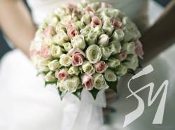     2018    Flora24.com.ua    