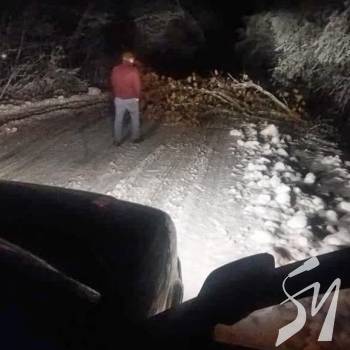 Шляхи чистили 152 дорожника. Але задоволені не всі мандрівники Шляхи чистили 152 дорожника. Але задоволені не всі мандрівники