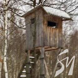 У заповідниках зносять браконьєрські засідки У заповідниках зносять браконьєрські засідки