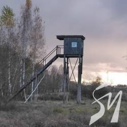 Триває свавілля «мисливців» у регіональному ландшафтному парку Міжрічинський Триває свавілля «мисливців» у регіональному ландшафтному парку Міжрічинський