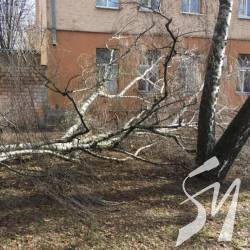 Як Чернігів впорався з наслідками буревію Як Чернігів впорався з наслідками буревію