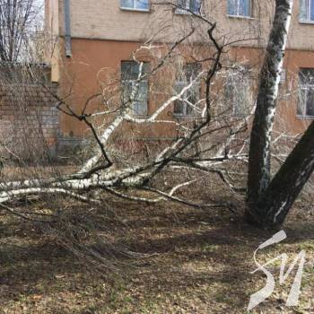 Як Чернігів впорався з наслідками буревію Як Чернігів впорався з наслідками буревію