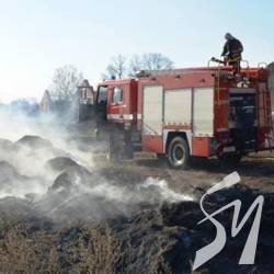Що має статися, щоб палії припинили чинити пожежі трави? Що має статися, щоб палії припинили чинити пожежі трави?