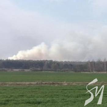 Лісівники розглядають пожежі з безпілотника Лісівники розглядають пожежі з безпілотника
