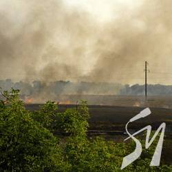 Чернігівщина горить – під плачі і лемент нездарних служб Чернігівщина горить – під плачі і лемент нездарних служб