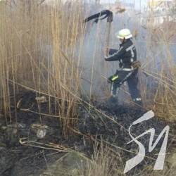 Міжрічинський РЛП загасили, але погоріли сотні гектарів і ліс Міжрічинський РЛП загасили, але погоріли сотні гектарів і ліс