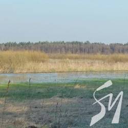 Рівні води на Дніпрі й Десні 10 квітня Рівні води на Дніпрі й Десні 10 квітня