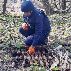 Знищено купу снарядів і гранат неподалік погорілого арсеналу Знищено купу снарядів і гранат неподалік погорілого арсеналу