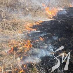 Погорів гектар Кордівки і 45 га Чернігівщини Погорів гектар Кордівки і 45 га Чернігівщини