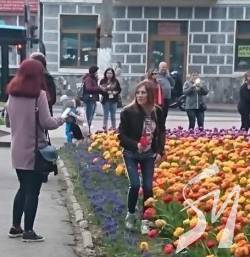 Чернігів – українська Голландія. Як не витопчуть Чернігів – українська Голландія. Як не витопчуть