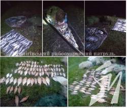 Рибоохоронний патруль відкрив дві кримінальні справи на браконьєрів за один день Рибоохоронний патруль відкрив дві кримінальні справи на браконьєрів за один день