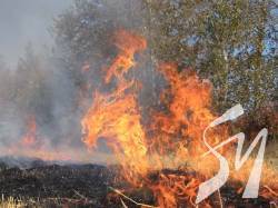 2019 рік вже став більш пожежонебезпечним, ніж минулі роки, - Зубко 2019 рік вже став більш пожежонебезпечним, ніж минулі роки, - Зубко