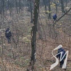 Зниклого в лісі біля Чернігова знайшли мертвим Зниклого в лісі біля Чернігова знайшли мертвим