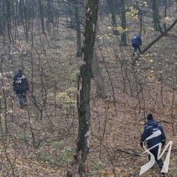 Зниклого в лісі біля Чернігова знайшли мертвим Зниклого в лісі біля Чернігова знайшли мертвим