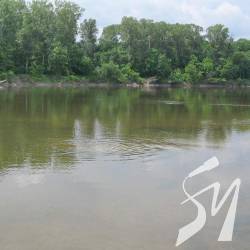 Підняли з води чотирьох потопельників Підняли з води чотирьох потопельників