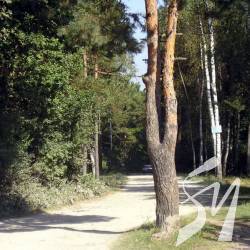 Державі повернуто 252 га лісової землі Державі повернуто 252 га лісової землі