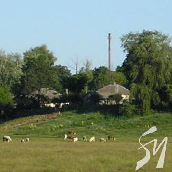 На улянівських луках спалили хлів На улянівських луках спалили хлів