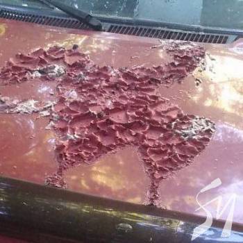 Вандали зіпсували фарбу кількох авто Вандали зіпсували фарбу кількох авто
