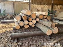 Ніжинська поліція встановлює причетних до масштабної незаконної порубки лісу Ніжинська поліція встановлює причетних до масштабної незаконної порубки лісу