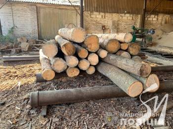Ніжинська поліція встановлює причетних до масштабної незаконної порубки лісу Ніжинська поліція встановлює причетних до масштабної незаконної порубки лісу