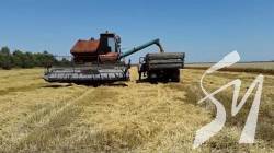 На Чернігівщині намолочено близько 4,45 мільйона тонн зерна: збір урожаю триває На Чернігівщині намолочено близько 4,45 мільйона тонн зерна: збір урожаю триває