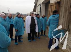 Латвійський ветеринар навчав своїх чернігівських колег працювати по-європейськи Латвійський ветеринар навчав своїх чернігівських колег працювати по-європейськи