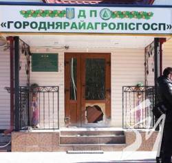 Районні агролісгоспи у збитках – хто винен? Районні агролісгоспи у збитках – хто винен?