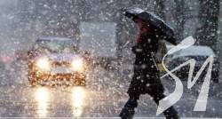 ������ ���� �� ��� � ������� �����: ��������� ��������, ���� ���� ������ 22 ����