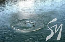 � ���� ����� ������� ������������