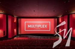  Multiplex           