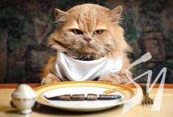 �� ��� �� ������ ����� ��� ���� ��� �����