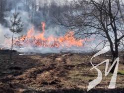 У Чорнобильській зоні третій день горить ліс У Чорнобильській зоні третій день горить ліс