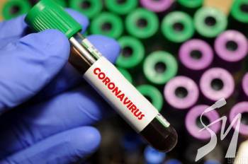  COVID-19     9866 , 250  - 