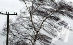 ����� 180 ��������� ������ � ������ ����� ������ ���������� ��� �����