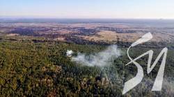Мінекології розробить державну стратегію управління лісами на 15 років Мінекології розробить державну стратегію управління лісами на 15 років