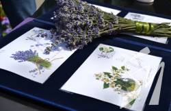 Укрпошта випустила унікальні ароматизовані марки Укрпошта випустила унікальні ароматизовані марки