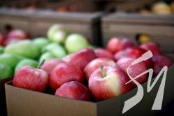 Україна готова задовольнити попит Китаю на продукти харчування - віце-прем'єр Україна готова задовольнити попит Китаю на продукти харчування - віце-прем'єр