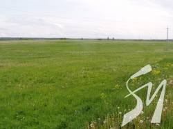 Ніжинська прокуратура оскаржує рішення про надання в оренду 550 га землі вартістю 25 млн грн Ніжинська прокуратура оскаржує рішення про надання в оренду 550 га землі вартістю 25 млн грн
