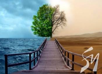  ̳          ೿  2030, 2050  210