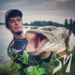 �� ����������� ������� ������ ��������� ����. ����