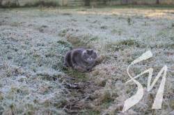 �� ������ ��� ���� ����������� �� ����������� �� ������� �����