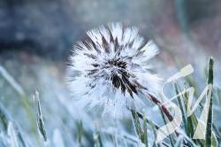 �� ������ ��������� �����������: �� ������ �������� ���������