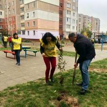 Ярослав КУЦ: турбуємося про зелені насадження Чернігова Ярослав КУЦ: турбуємося про зелені насадження Чернігова