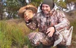 �� ����������� ������� ���������� ���� ����-����������