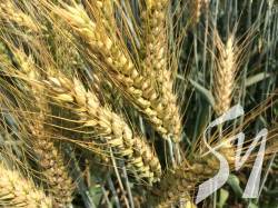 ���������� �� ����������� � ����� �� ��������� ����� ������ ������ 