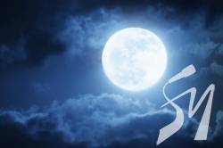 ������ ������� ������� �������� ���������� ��������� ̳����  